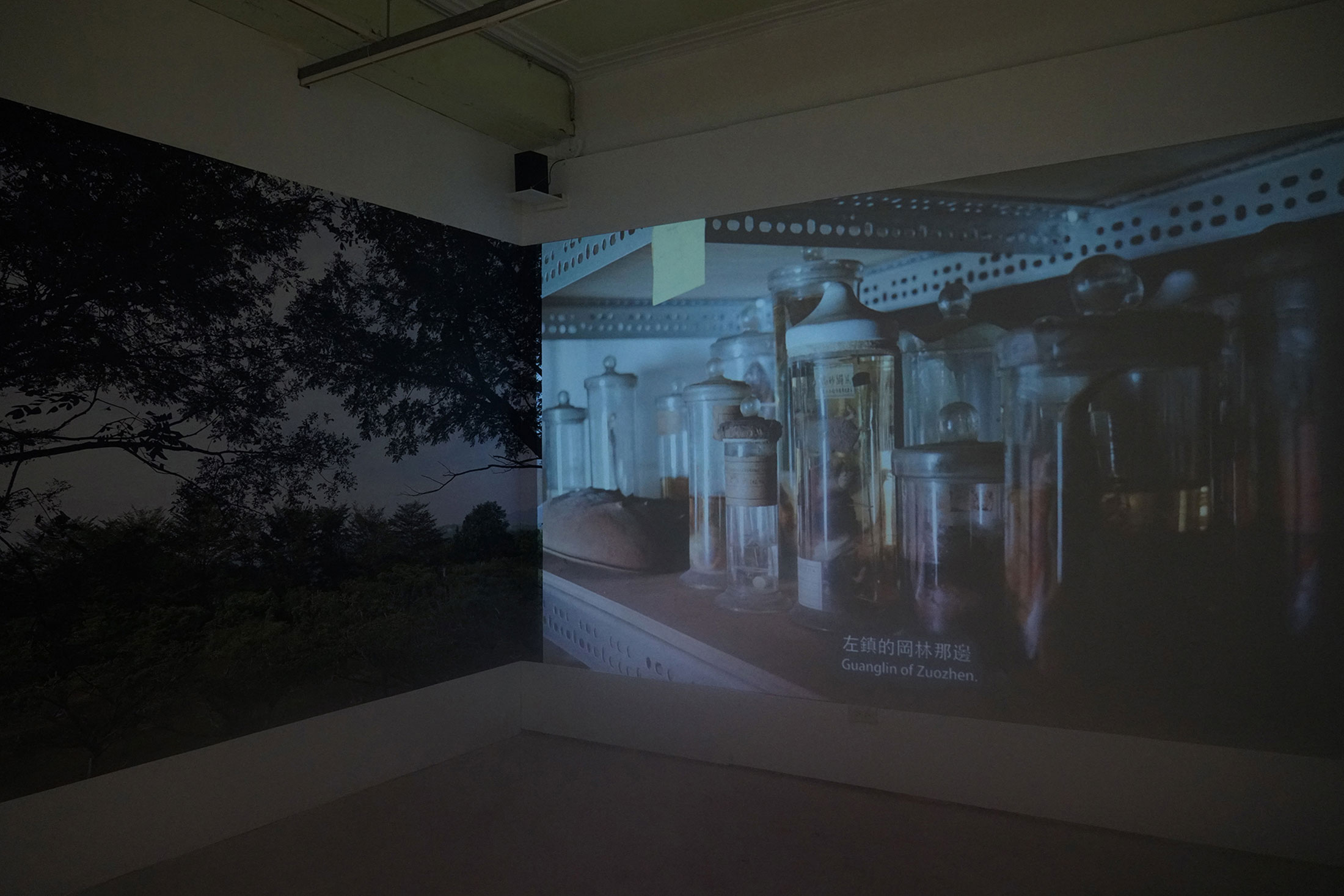 WEB不在研究室的標本展出照片-左邊為台南大學標本安置之塔位望出去的風景 WEB不在研究室的標本展出照片-左邊為台南大學標本安置之塔位望出去的風景